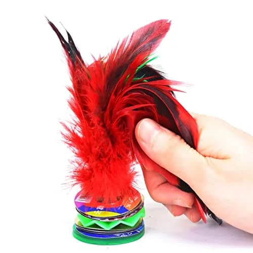 Baitaihem Kick Shuttlecock Type-A 4 Pack | Chinese Jianzi Foot Sports Outdoor Exercise thumbnail 2