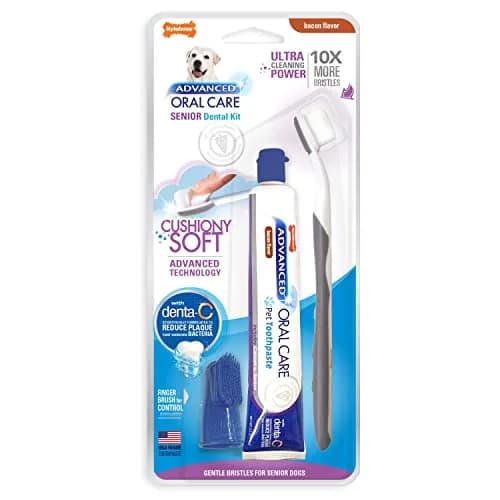 Nylabone Advanced Oral Care Senior Dog Dental Kit with Cushiony Soft-Bristle Toothbrush & Bacon Toothpaste (2.5 oz Tube) thumbnail 1