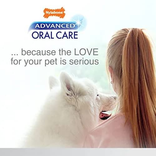Nylabone Advanced Oral Care Senior Dog Dental Kit with Cushiony Soft-Bristle Toothbrush & Bacon Toothpaste (2.5 oz Tube) thumbnail 9