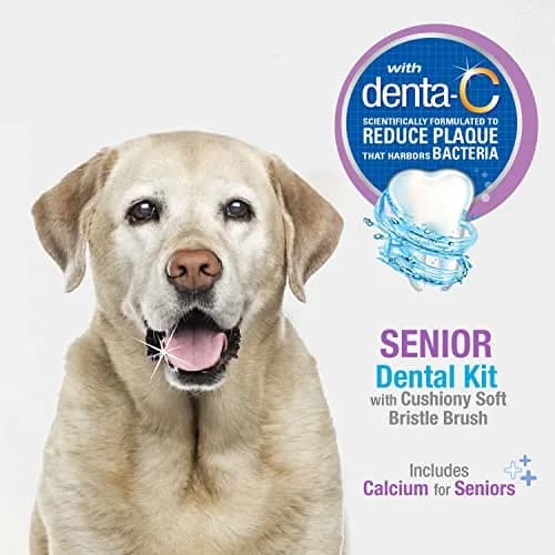 Nylabone Advanced Oral Care Senior Dog Dental Kit with Cushiony Soft-Bristle Toothbrush & Bacon Toothpaste (2.5 oz Tube) thumbnail 2