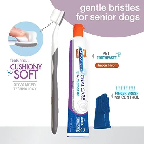 Nylabone Advanced Oral Care Senior Dog Dental Kit with Cushiony Soft-Bristle Toothbrush & Bacon Toothpaste (2.5 oz Tube) thumbnail 3
