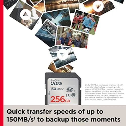 SanDisk 256GB Ultra SDXC UHS-I Memory Card 256GB (8.47 Fl Oz) | Fast Read Speeds Up to 150MB/s thumbnail 4