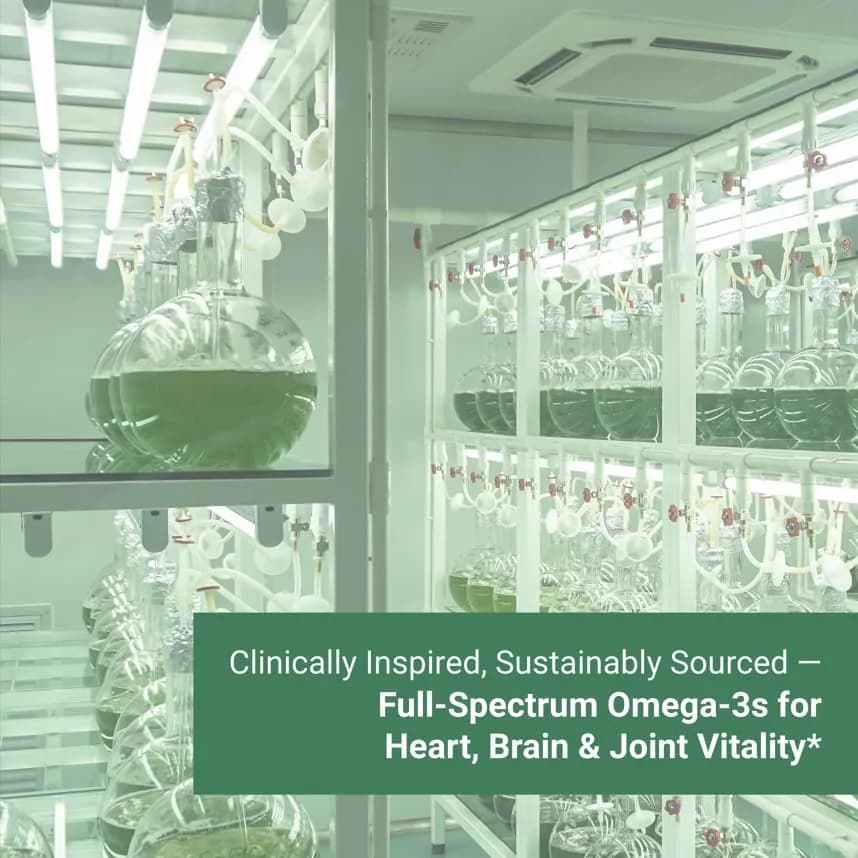Naturalis Vegan Omega 3 520mg 120 Softgels | Vegan Algal Oil for Heart & Joint Support thumbnail 6