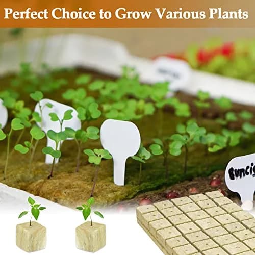 Legigo 200 Rockwool Cubes Seed Starter Plugs 1 Inch | Hydroponics & Soilless Cultivation thumbnail 6