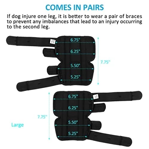 Bawektrl Dog Leg Brace for Back Legs, Hock Ankle Support for Large Dogs with Arthritis & Injury Sprain (1 Pair, Black) thumbnail 8