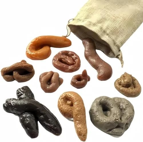 Aebor Fake Poo Set of 10 | Realistic Prank Toys for Halloween & April Fools' Day thumbnail 1