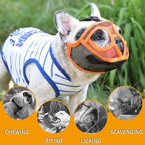 BARKLESS Short Snout Muzzle for French Bulldog, Shih Tzu, XXS (Head 8.5-12.5in / 22-32cm) Orange | Prevents Biting, Chewing, Licking Wounds thumbnail 8