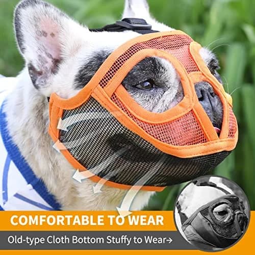 BARKLESS Short Snout Muzzle for French Bulldog, Shih Tzu, XXS (Head 8.5-12.5in / 22-32cm) Orange | Prevents Biting, Chewing, Licking Wounds thumbnail 2