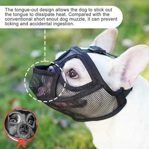 BARKLESS French Bulldog Muzzle XXS (Head 8.5-12.5'') | Breathable Mesh Short Snout Dog Muzzle thumbnail 2