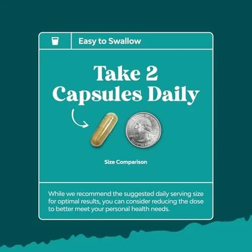 Natures Craft Liver Cleanse Capsules with Milk Thistle, Choline & Dandelion, 120 Count | Herbal Liver Support with Zinc, Beet Root, Artichoke & Chanca Piedra thumbnail 5