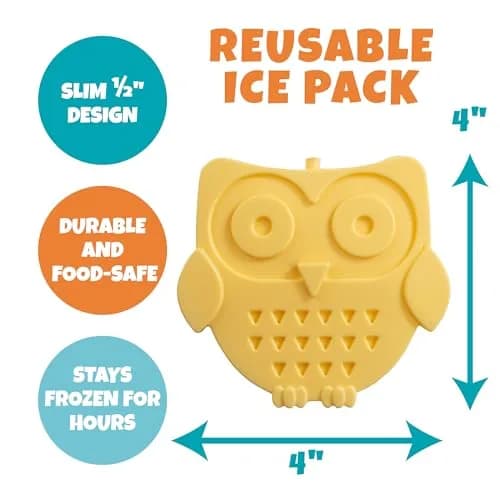 Bentology Owl Kids Insulated Lunch Bag Set with Water Bottle and Ice Pack, 10 x 8 x 3.5 inches (25.4 x 20.3 x 8.9 cm) thumbnail 3