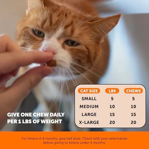 Pet Honesty Vet Backed Senior Cat Joint Supplement, Chicken, 300 Chews | Supports Mobility & Comfort thumbnail 6