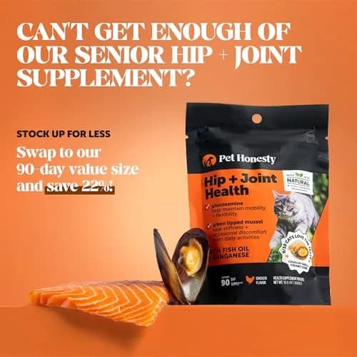 Pet Honesty Vet Backed Senior Cat Joint Supplement, Chicken, 300 Chews | Supports Mobility & Comfort thumbnail 7