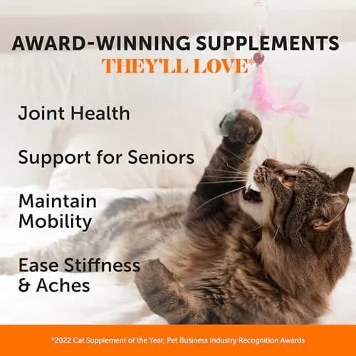 Pet Honesty Vet Backed Senior Cat Joint Supplement, Chicken, 300 Chews | Supports Mobility & Comfort thumbnail 2
