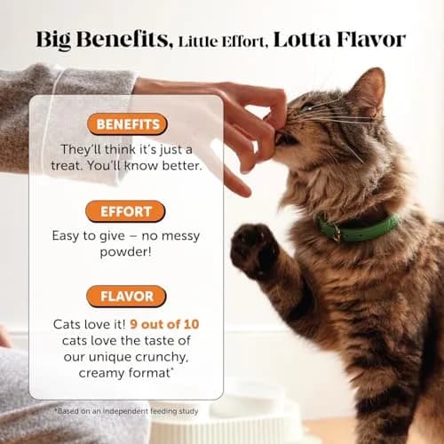 Pet Honesty Vet Backed Senior Cat Joint Supplement, Chicken, 300 Chews | Supports Mobility & Comfort thumbnail 4