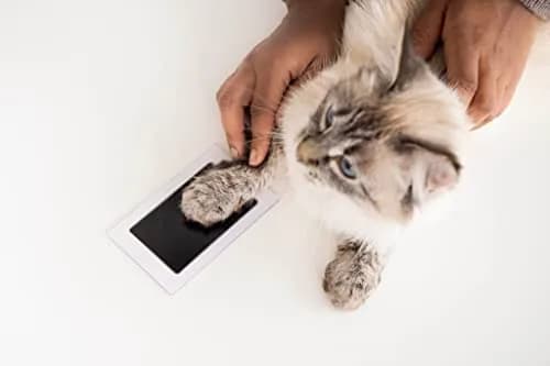 Pearhead Paw Print Clean-Touch Ink Pad Kit, Mess Free Inkless Pet Impression Kit, Safe for Cats and Dogs, Pack of 2 thumbnail 6