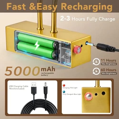 RAIFOOLLY Wireless Picture Light 16 inch (40.64 cm) Plated Gold | Rechargeable LED Art Light with Remote thumbnail 2