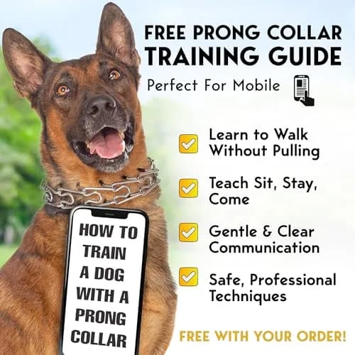 PET JETT Dog Prong Collar 16-18" | No Pull Stainless Steel Choke Collar thumbnail 7