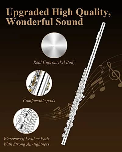 Eastar EFL-1S 16-Key Closed Hole C Flute Kit | Silver Plated Beginner Transverse Flute with Case & Cleaning Tools thumbnail 4