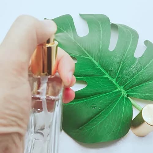 PimyRcyi 5PCS Square Glass Spray Bottle 100ml (3.4oz) | Fine Mist Refillable Perfume Container thumbnail 7
