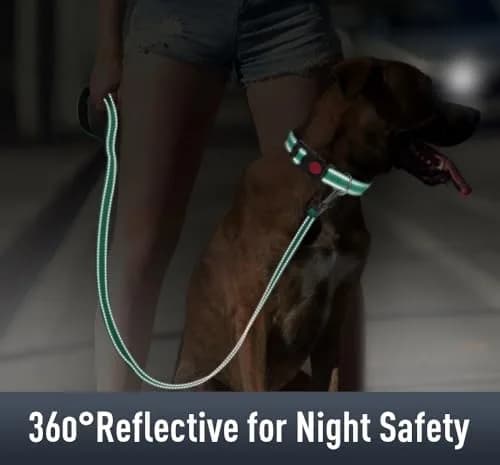 Erbine Reflective Dog Collar with AirTag Holder for Small Dogs, Teal (9"-15") thumbnail 4