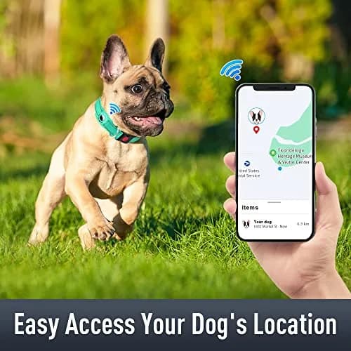 Erbine Reflective Dog Collar with AirTag Holder for Small Dogs, Teal (9"-15") thumbnail 2