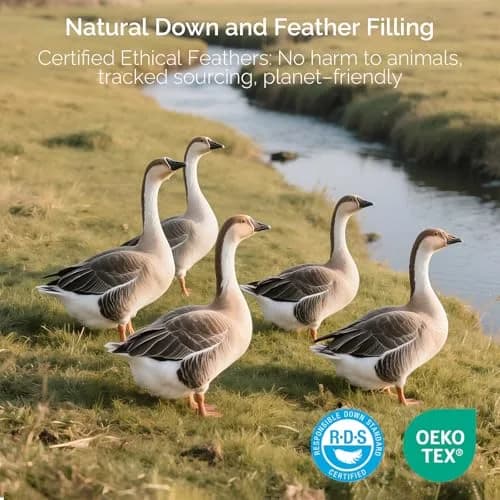 downluxe Goose Feather and Down Pillows King Set of 2 | Ultra-Soft, Ethically-Sourced thumbnail 7