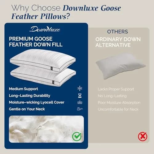 downluxe Goose Feather and Down Pillows King Set of 2 | Ultra-Soft, Ethically-Sourced thumbnail 9