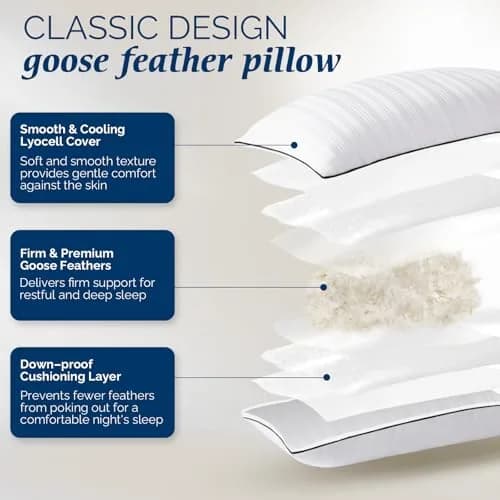 downluxe Goose Feather and Down Pillows King Set of 2 | Ultra-Soft, Ethically-Sourced thumbnail 2