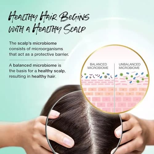 Biotera Strengthening Shampoo for Long, Growing Hair – Supports Hair Growth & Reduces Breakage, Vegan, Color-Safe, 15.2 Fl Oz thumbnail 4