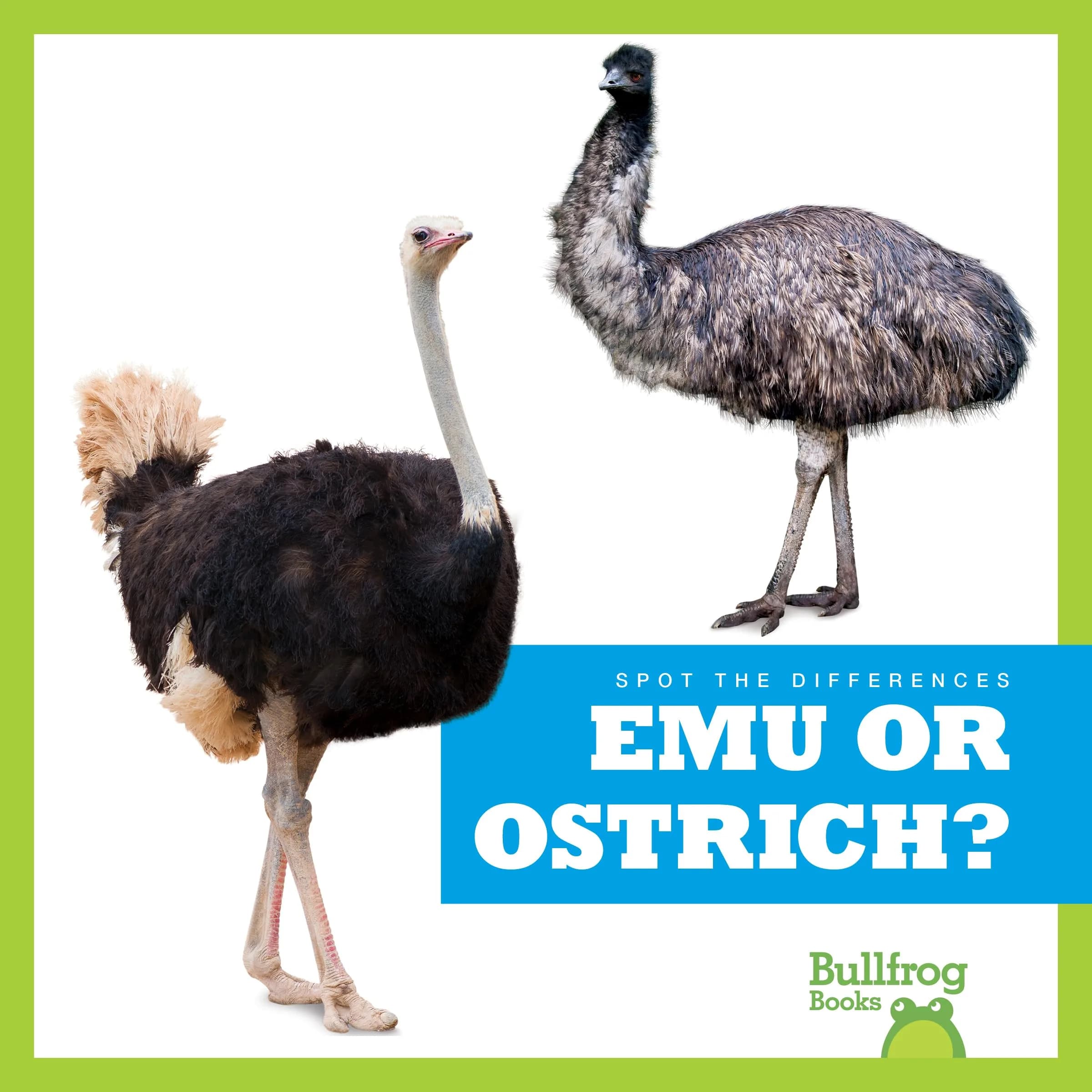 Emu or Ostrich? (Bullfrog Books: Spot the Differences) 20 cm (8 in) | Interactive Beginner Reader - main product image