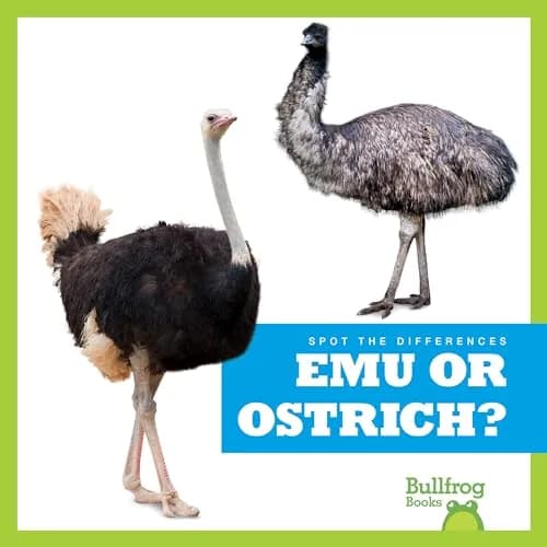 Emu or Ostrich? (Bullfrog Books: Spot the Differences) 20 cm (8 in) | Interactive Beginner Reader thumbnail 1