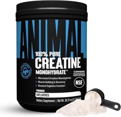 Animal Creatine Monohydrate Powder 1000g | Unflavored, Max Performance & Recovery thumbnail 1