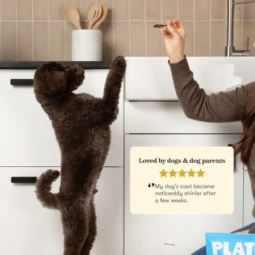 PLATO Single Ingredient Baltic Herring Dog Treats, 3 oz | Omega-Rich, Air-Dried Fish for Skin & Coat Support thumbnail 5