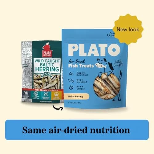 PLATO Single Ingredient Baltic Herring Dog Treats, 3 oz | Omega-Rich, Air-Dried Fish for Skin & Coat Support thumbnail 6