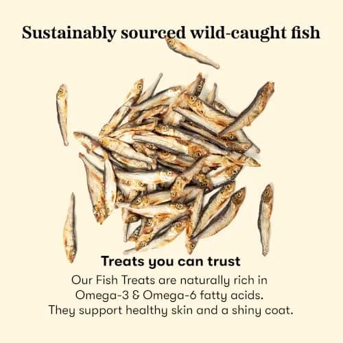 PLATO Single Ingredient Baltic Herring Dog Treats, 3 oz | Omega-Rich, Air-Dried Fish for Skin & Coat Support thumbnail 4