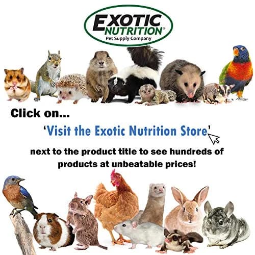 Exotic Nutrition Squirrel Complete 1.81 kg (4 lb) | Natural Pet Food for Squirrels thumbnail 8