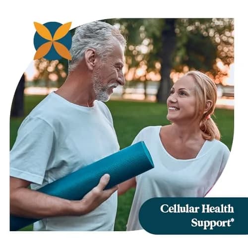 Pattern Wellness Quercetin Supplement – 60 Vegan Capsules | Immune & Cellular Support thumbnail 6