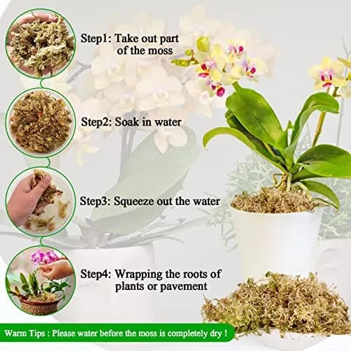 Legigo 1.3LB Sphagnum Moss for Plants | Moisture Retention & Root Growth Support thumbnail 4