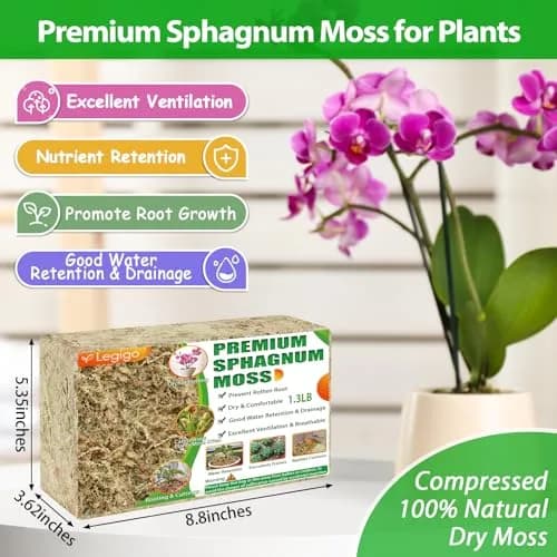 Legigo 1.3LB Sphagnum Moss for Plants | Moisture Retention & Root Growth Support thumbnail 2