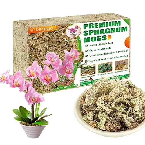 Legigo 14oz Sphagnum Moss for Plants | Natural Long Fibers Orchid Moss, 16QT thumbnail 1