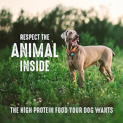 CRAVE Grain Free High Protein Adult Dry Dog Food, White Fish & Salmon, 13.6kg (30 lb) | Protein-Rich, Grain-Free Nutrition thumbnail 6