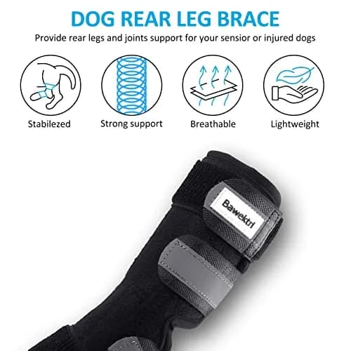 Bawektrl Dog Leg Brace for Rear Legs, Canine Hind Hock Brace, Joint Compression Wraps Support for Back Leg with Injury Sprain, Wound Care and Loss of Stability from Arthritis Torn ACL CCL (1 Pair, XLarge) thumbnail 4