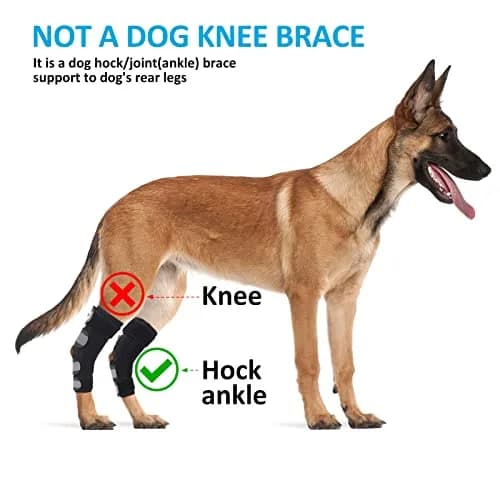 Bawektrl Dog Leg Brace for Rear Legs, Canine Hind Hock Brace, Joint Compression Wraps Support for Back Leg with Injury Sprain, Wound Care and Loss of Stability from Arthritis Torn ACL CCL (1 Pair, XLarge) thumbnail 7