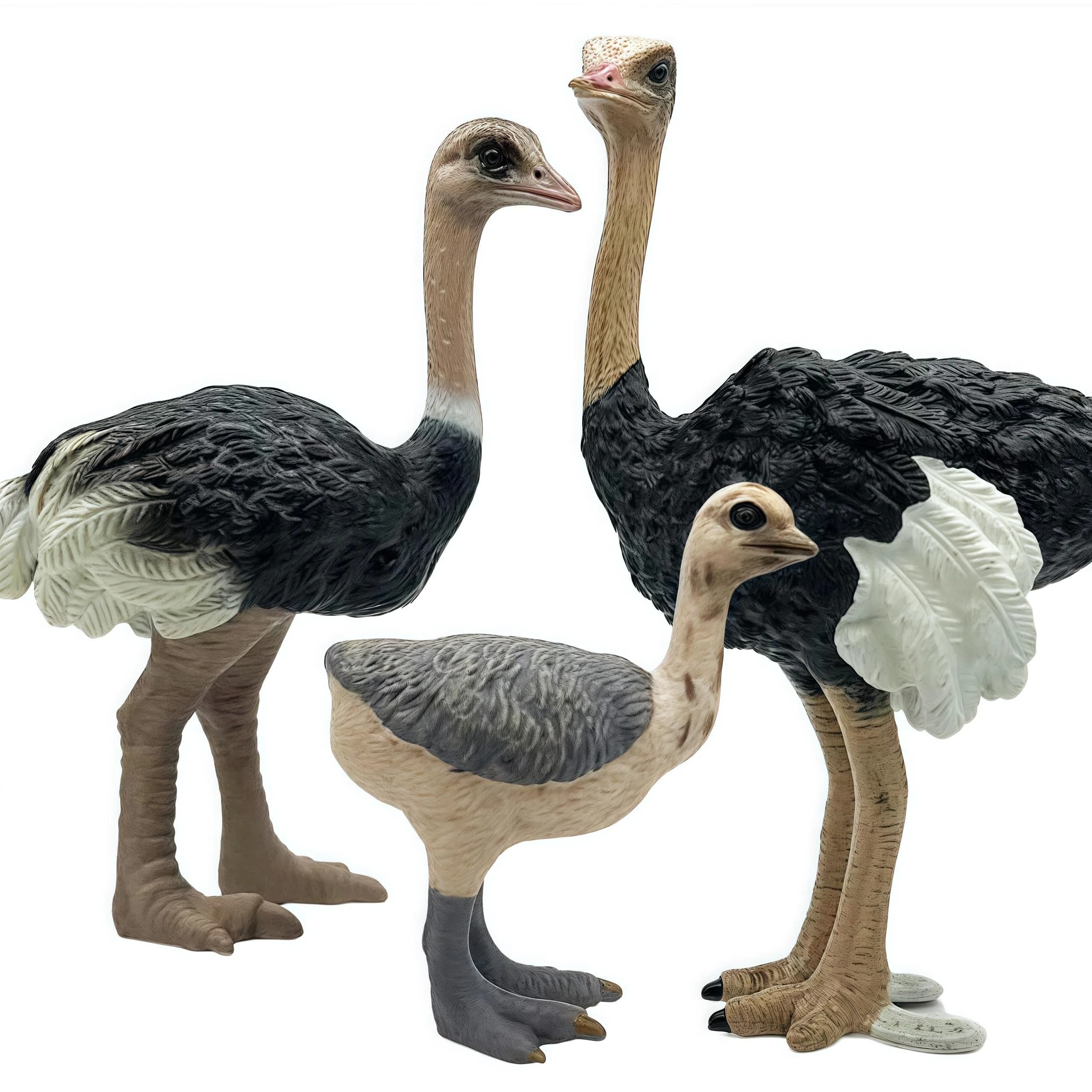Gemini&Genius Ostrich Action Figure Toys, Jungle Animal Playset 7.6cm (3 Inch) | ASTM-Tested Non-Toxic ABS Plastic — 3 Pcs