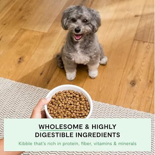 Open Farm Ancient Grains Dry Dog Food Small Breed Kibble 1.81 kg (4lb) | High Protein, Traceable Ingredients thumbnail 3