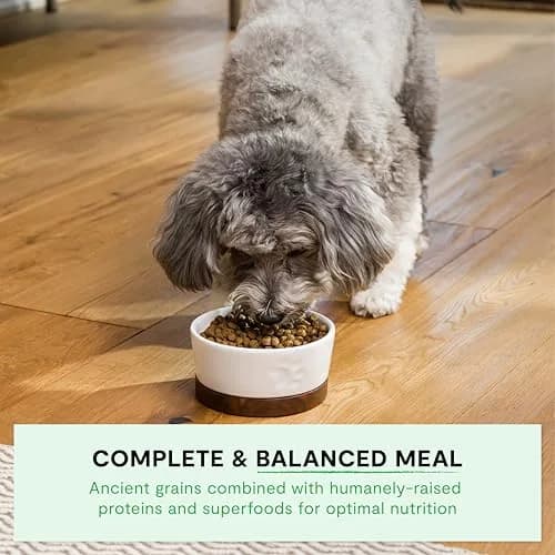 Open Farm Ancient Grains Dry Dog Food Small Breed 11 lb | Nutrient-Dense, Grain-Inclusive, Traceable thumbnail 4
