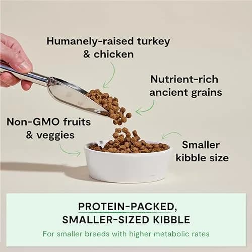 Open Farm Ancient Grains Dry Dog Food Small Breed 11 lb | Nutrient-Dense, Grain-Inclusive, Traceable thumbnail 2