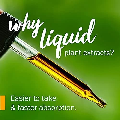 Herb Pharm Certified Organic Lobelia Liquid Extract 3 fl oz (88.7 ml) | USDA Certified Organic for Musculoskeletal Support thumbnail 3