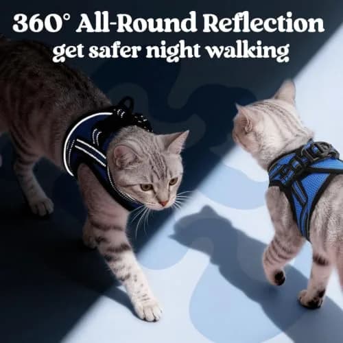 rabbitgoo Cat Harness and Leash Set, Step-in Soft Vest, Blue | Adjustable Escape-Resistant Fit thumbnail 5